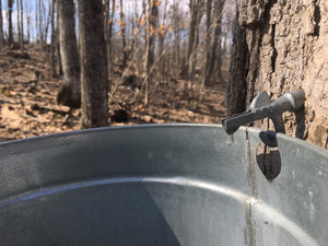 Maple Sugaring Season - Being Prepared - Forest-Safety Products