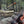 Survivalist Hatchet - Forest - Safety Products